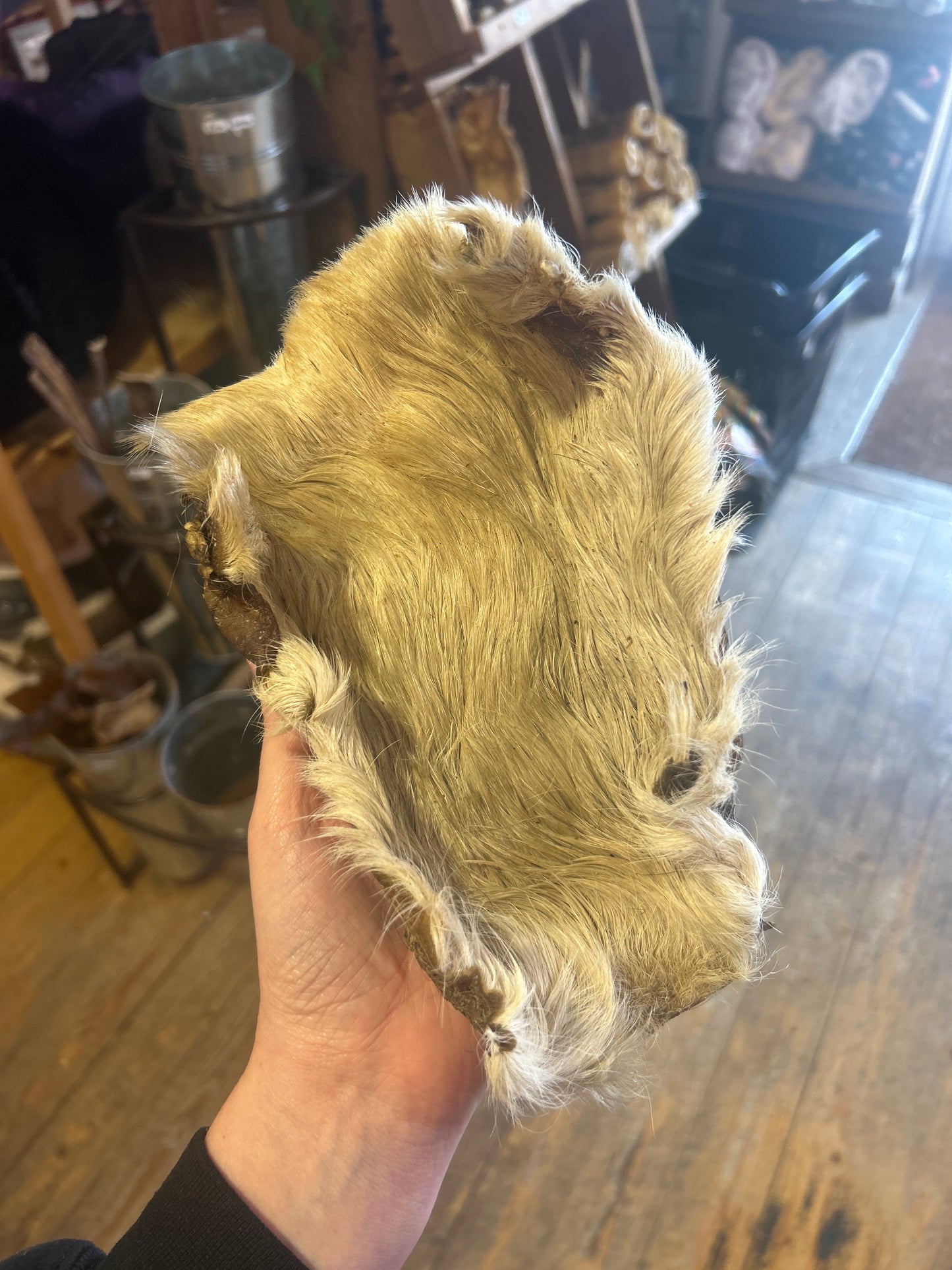 Hairy Beef Bark - XL