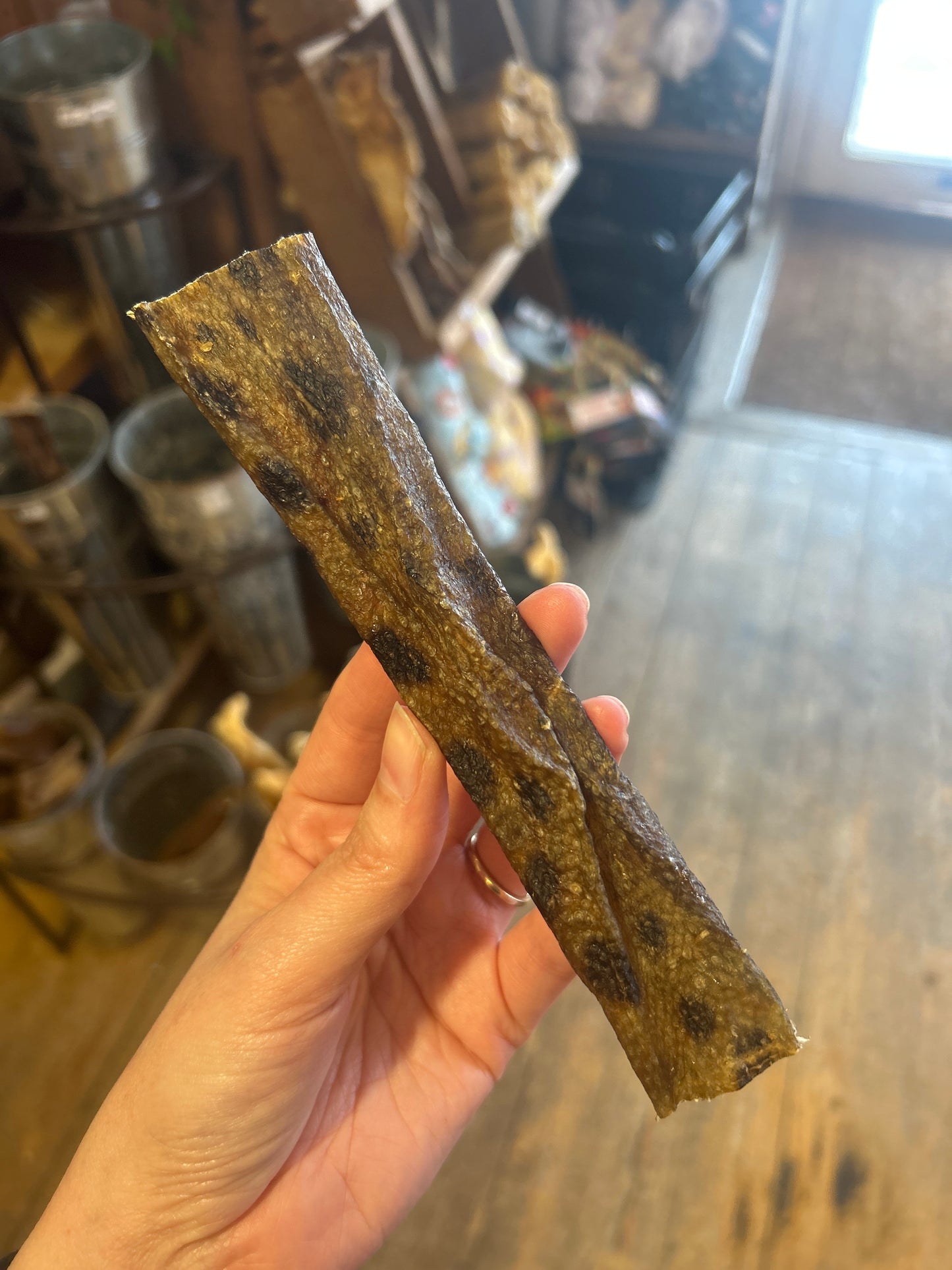 Wolf Fish Skin Flattie - Regular