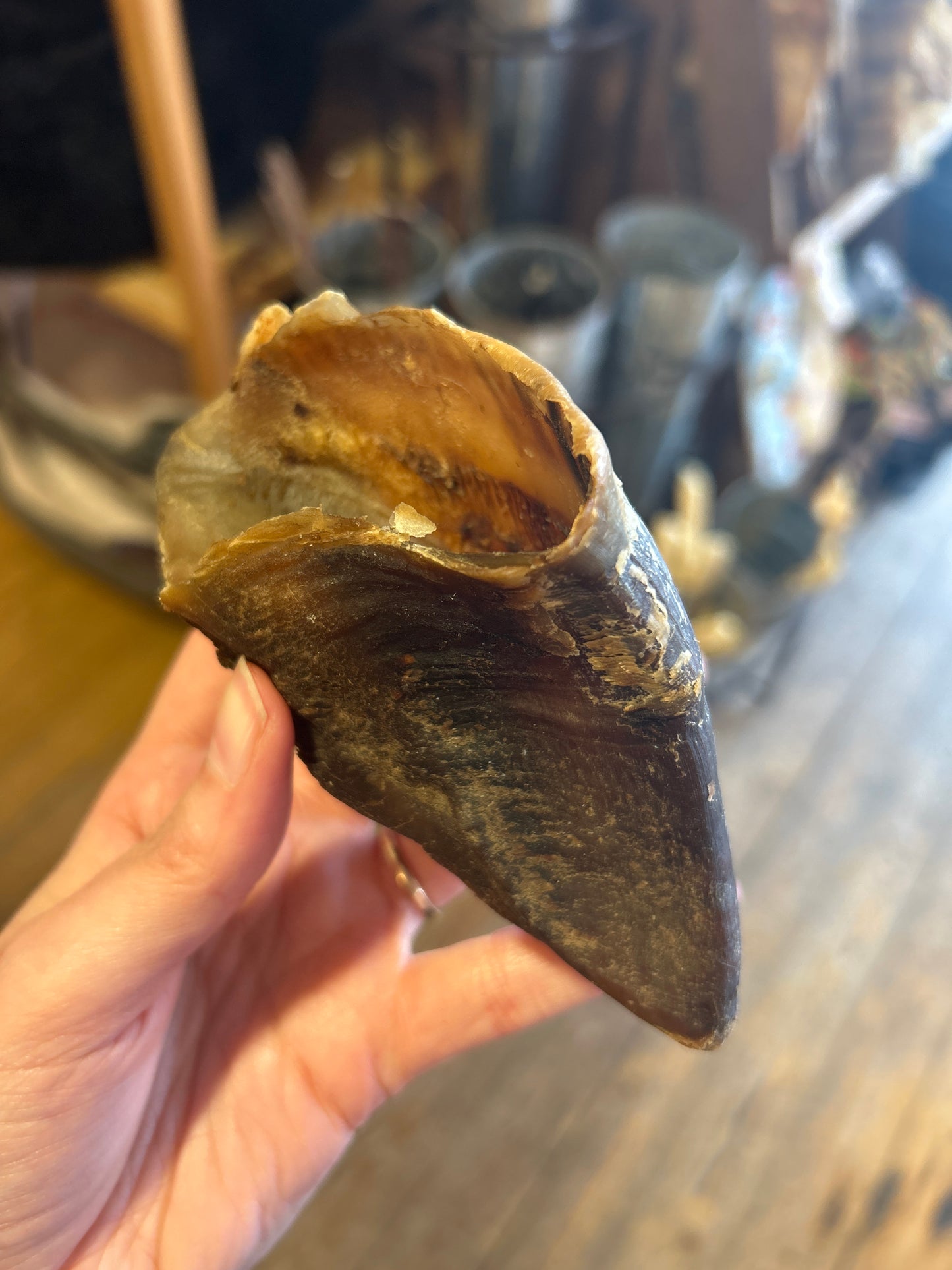 Natural Dog Treats - Dried Beef Hoof