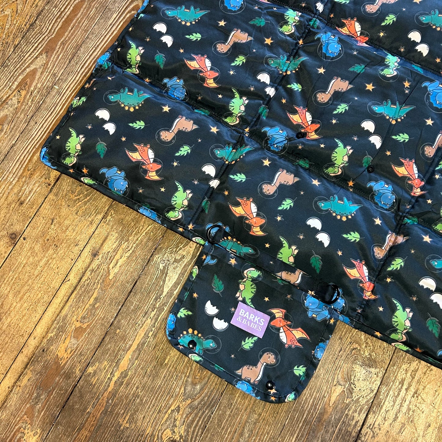 The EVERYTHING Mat - Space Dino Print