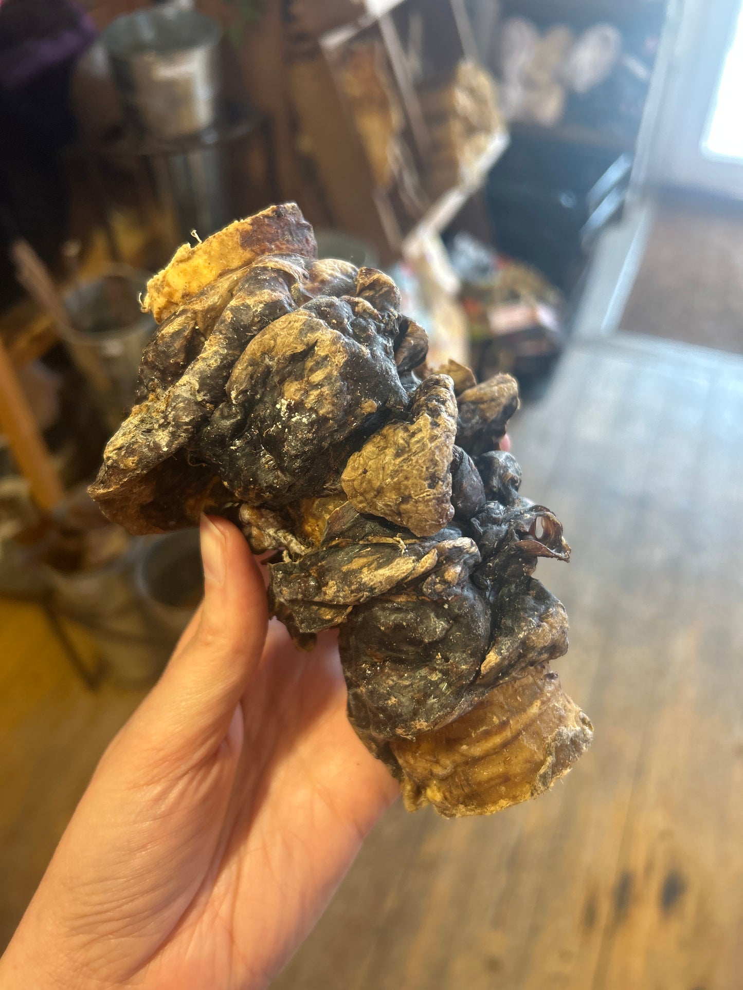 Buffalo Wrapped Trachea