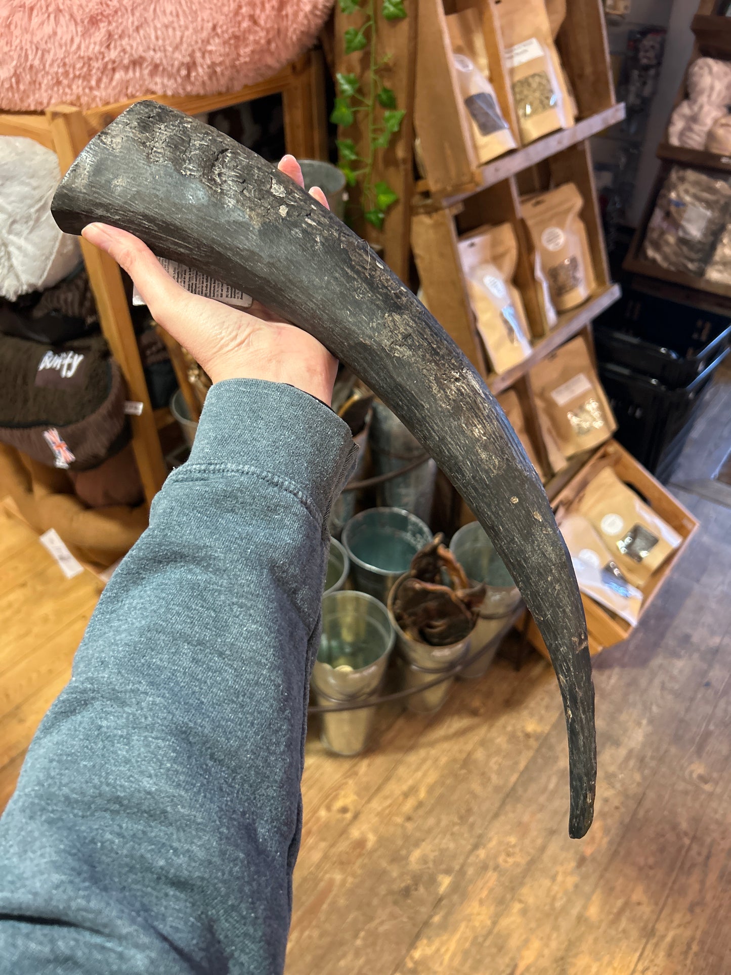 Natural Dog Treat - Giant Buffalo Horn