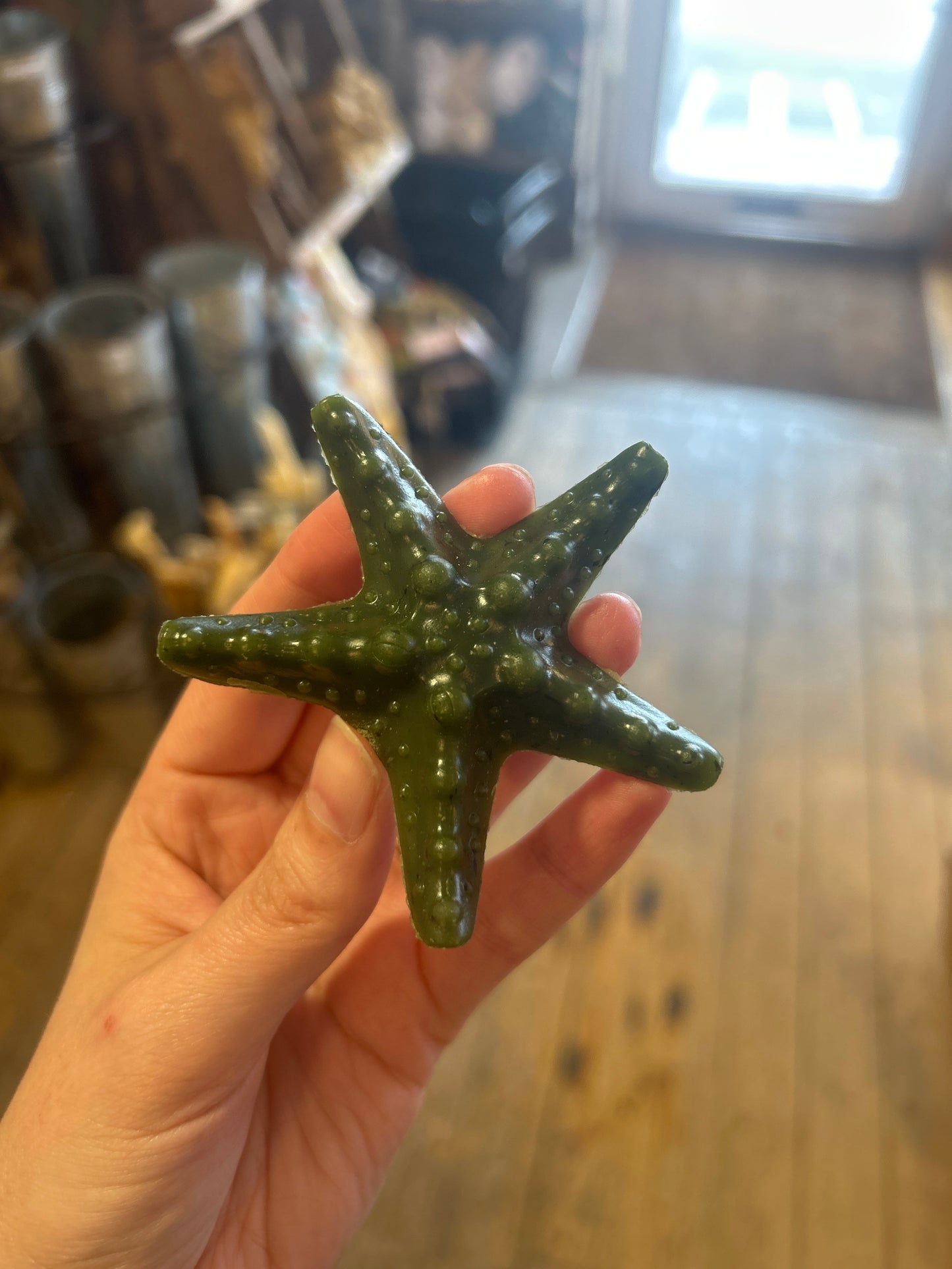 Veggie Sea Creatures with Mint, Kelp, Spirulina & Wakame - Starfish