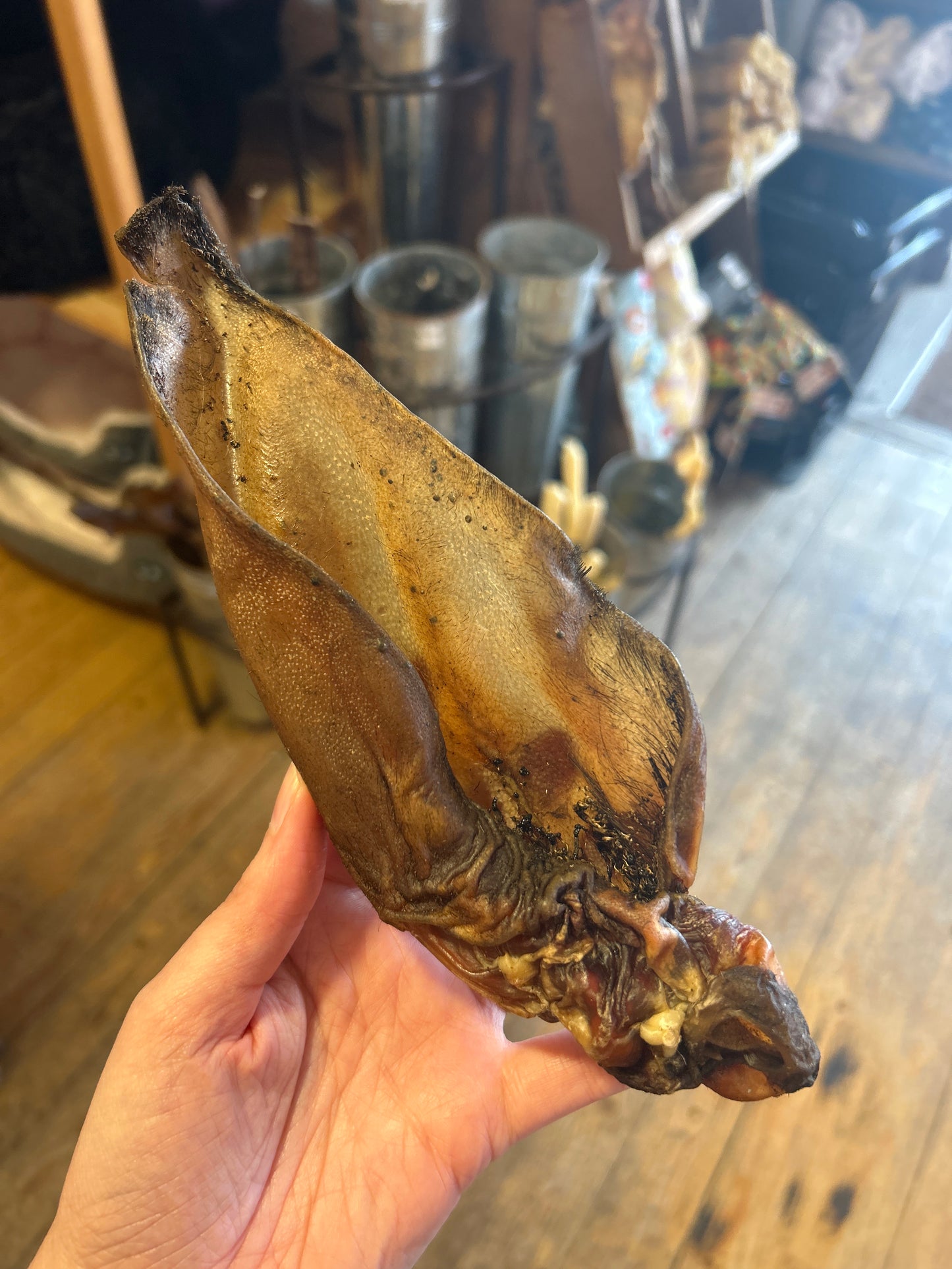 Natural Dog Treats - Buffalo Ear Large