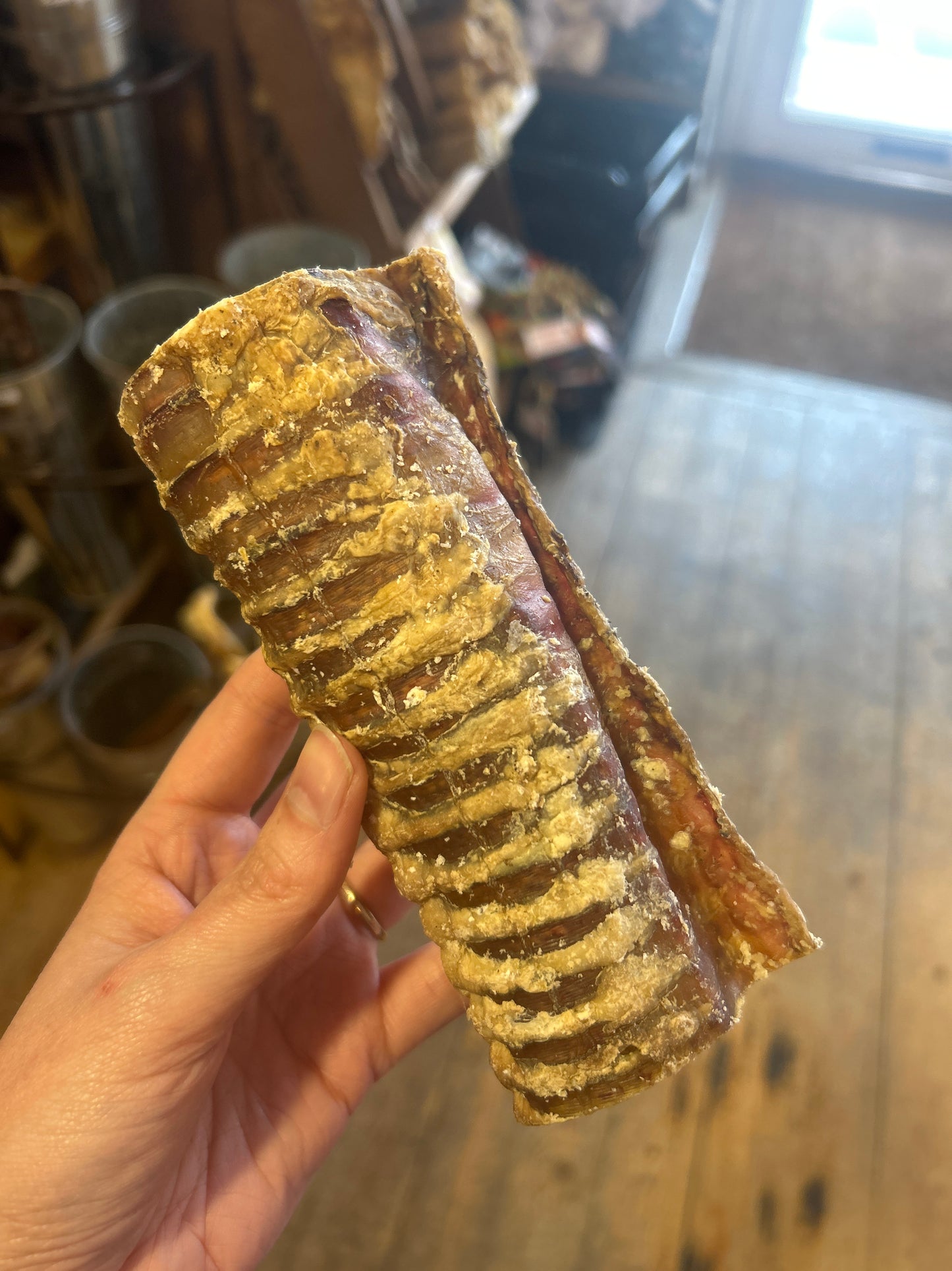 Beef Trachea - Medium