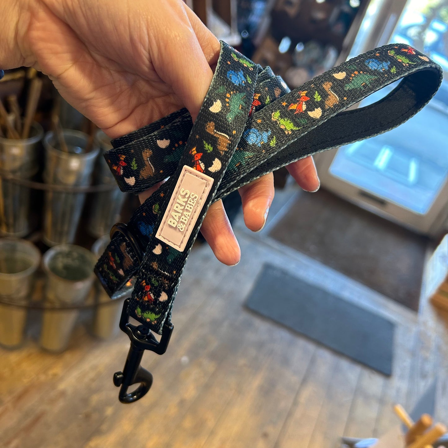 Space Dino Print Dog Lead