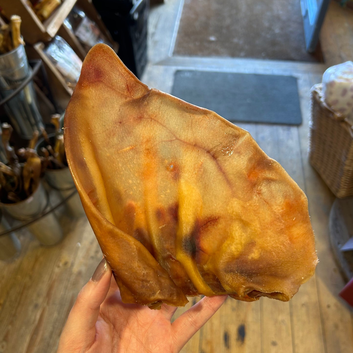Pig Ear