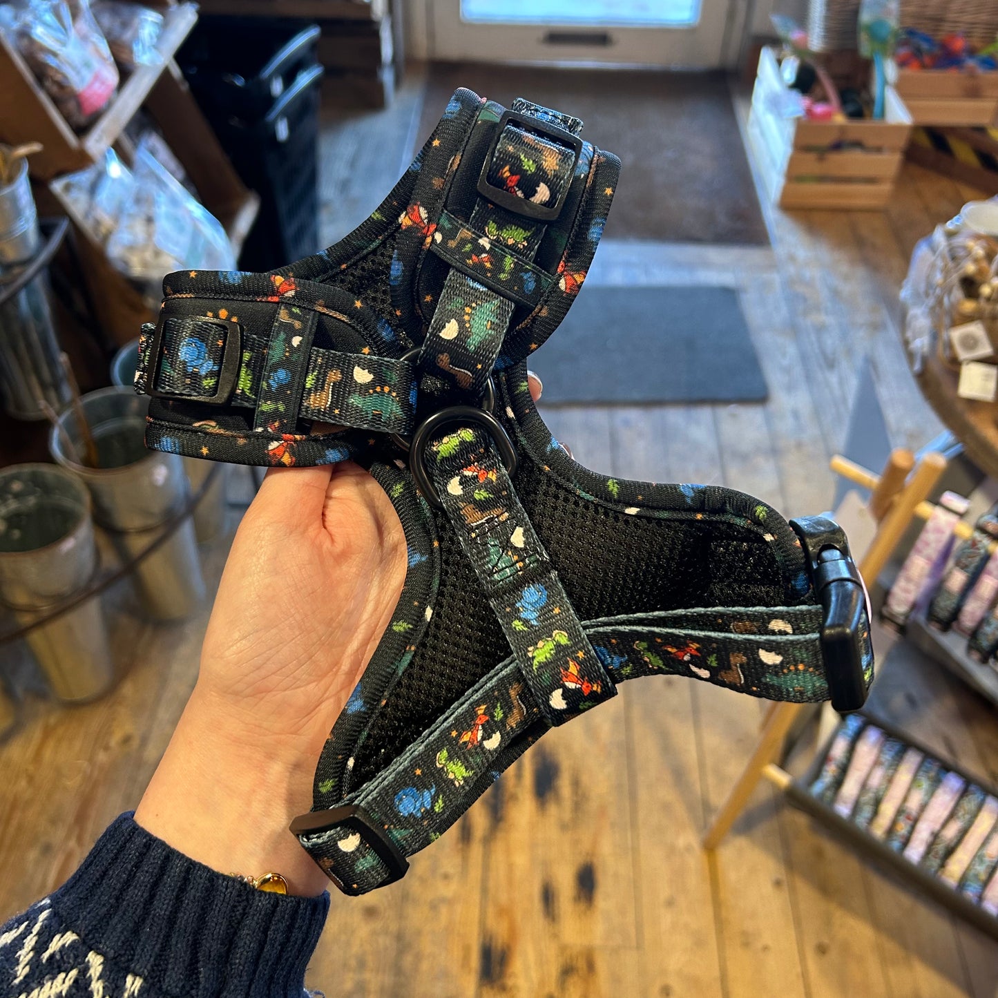 Space Dino Dog Harness