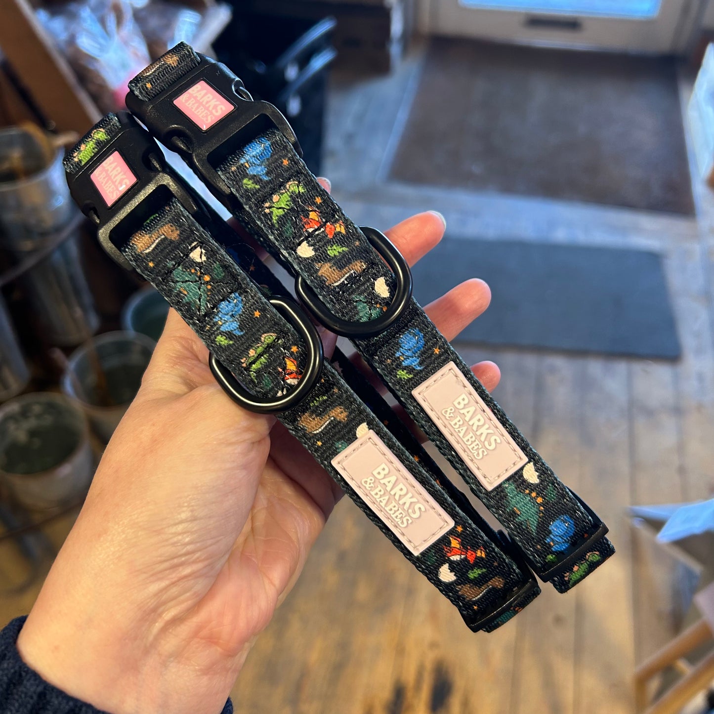 Space Dino Print Dog Collar