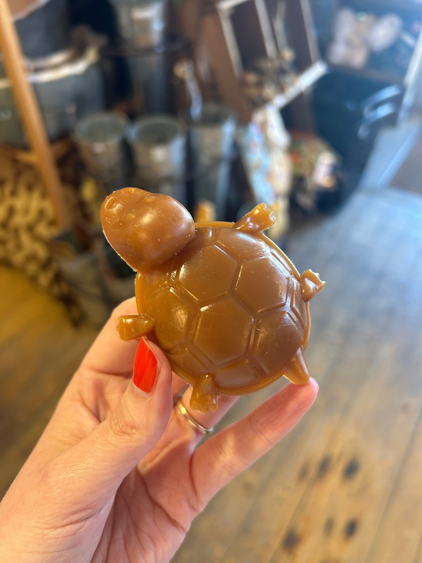 Peanut Butter Veggie Turtle