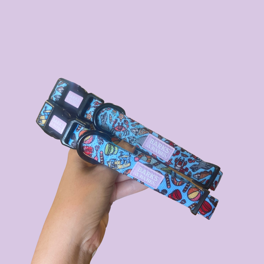 Seaside Holidays Dog Collar