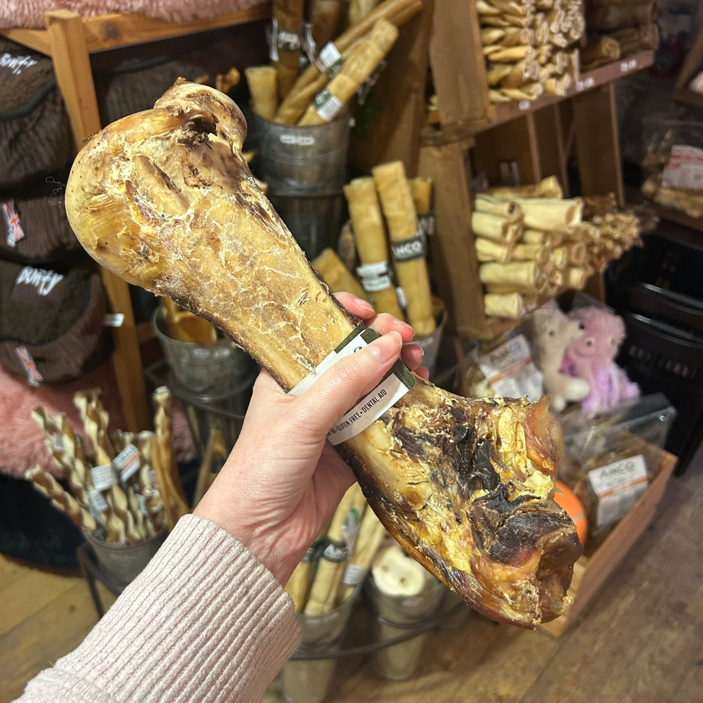 Ostrich Dino Bone