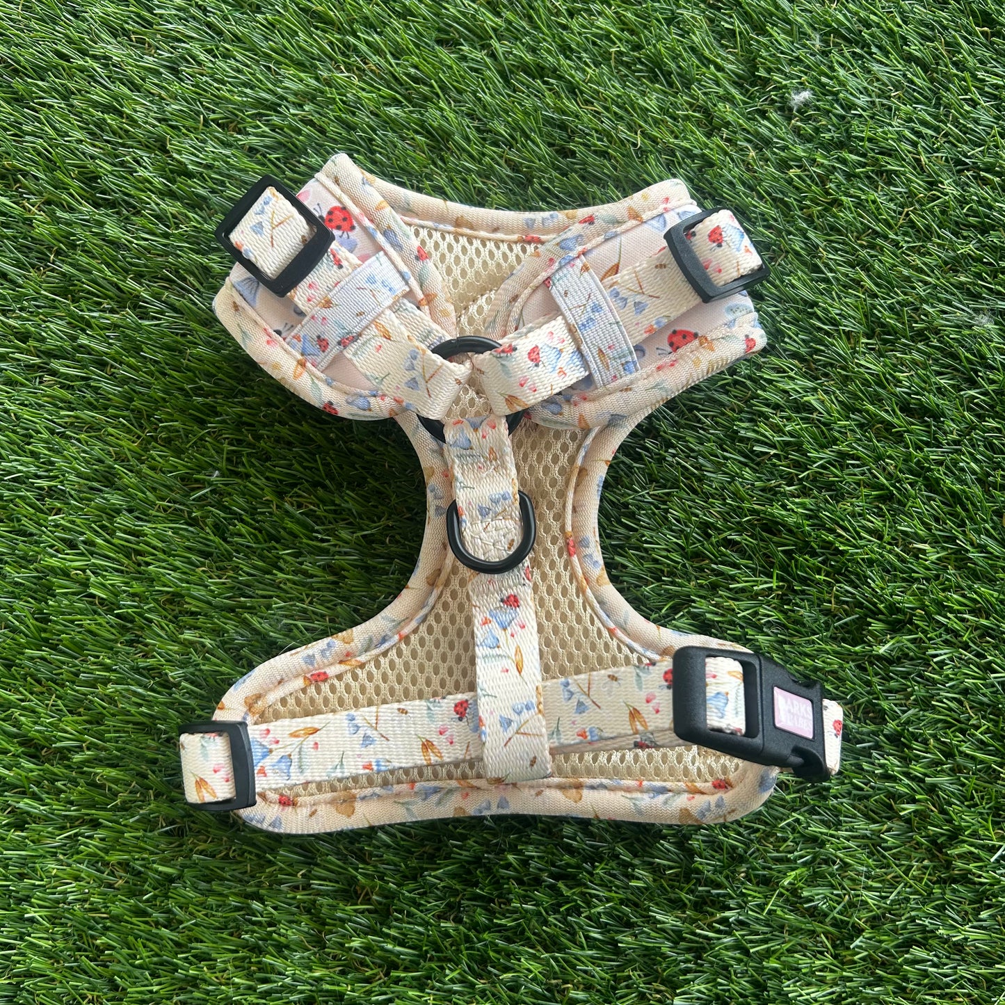 Little Lady Lucy Harness XXS