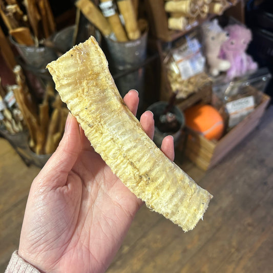 Buffalo Trachea Medium