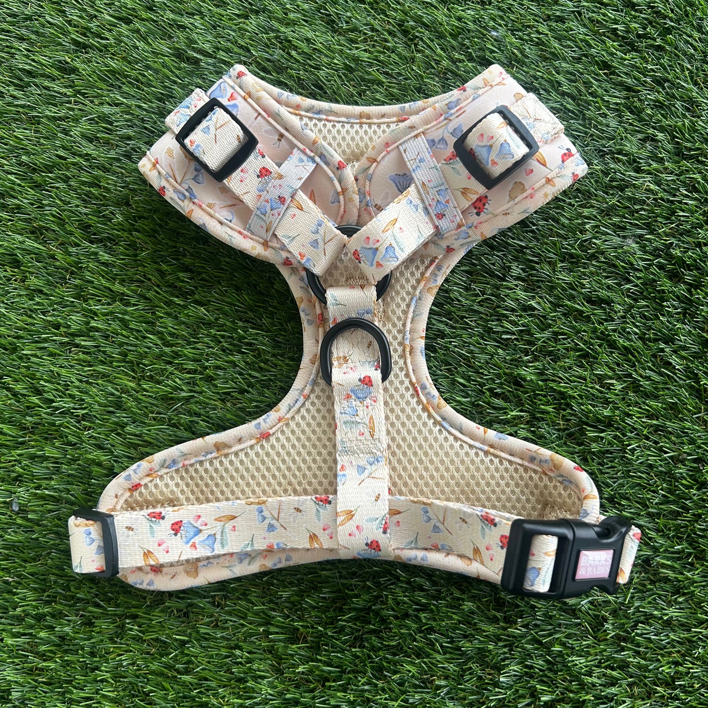 Little Lady Lucy Harness S