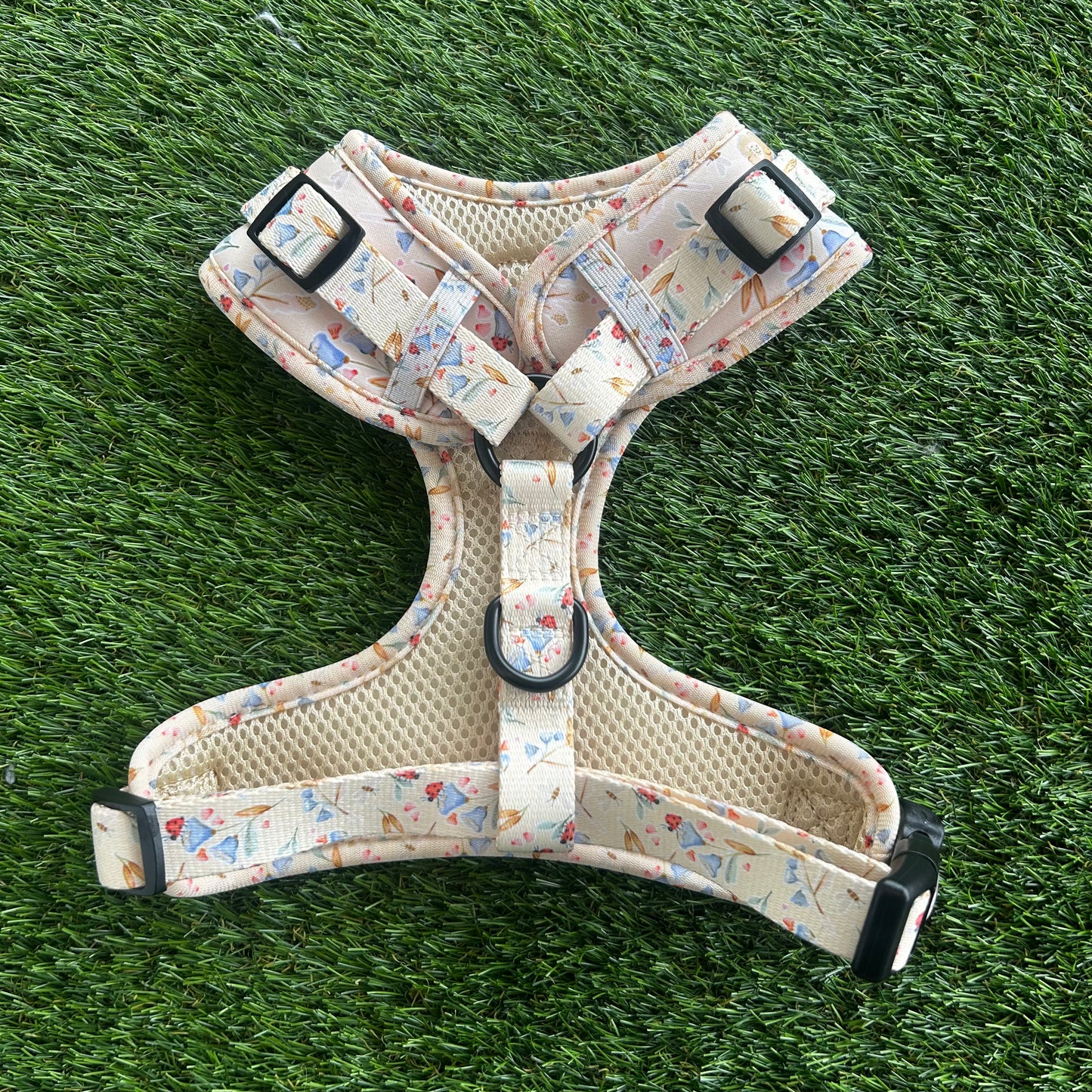 Little Lady Lucy Harness M
