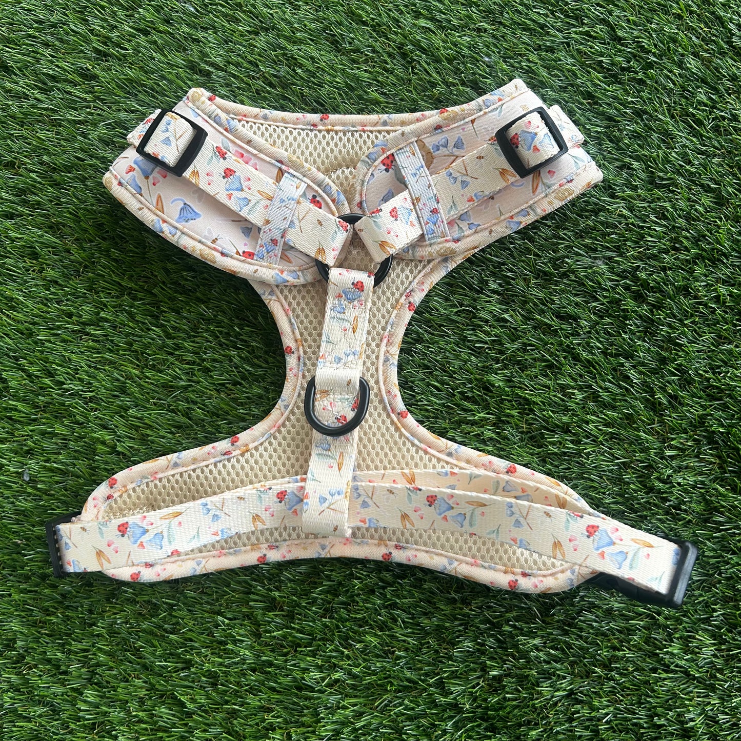 Little Lady Lucy Harness L