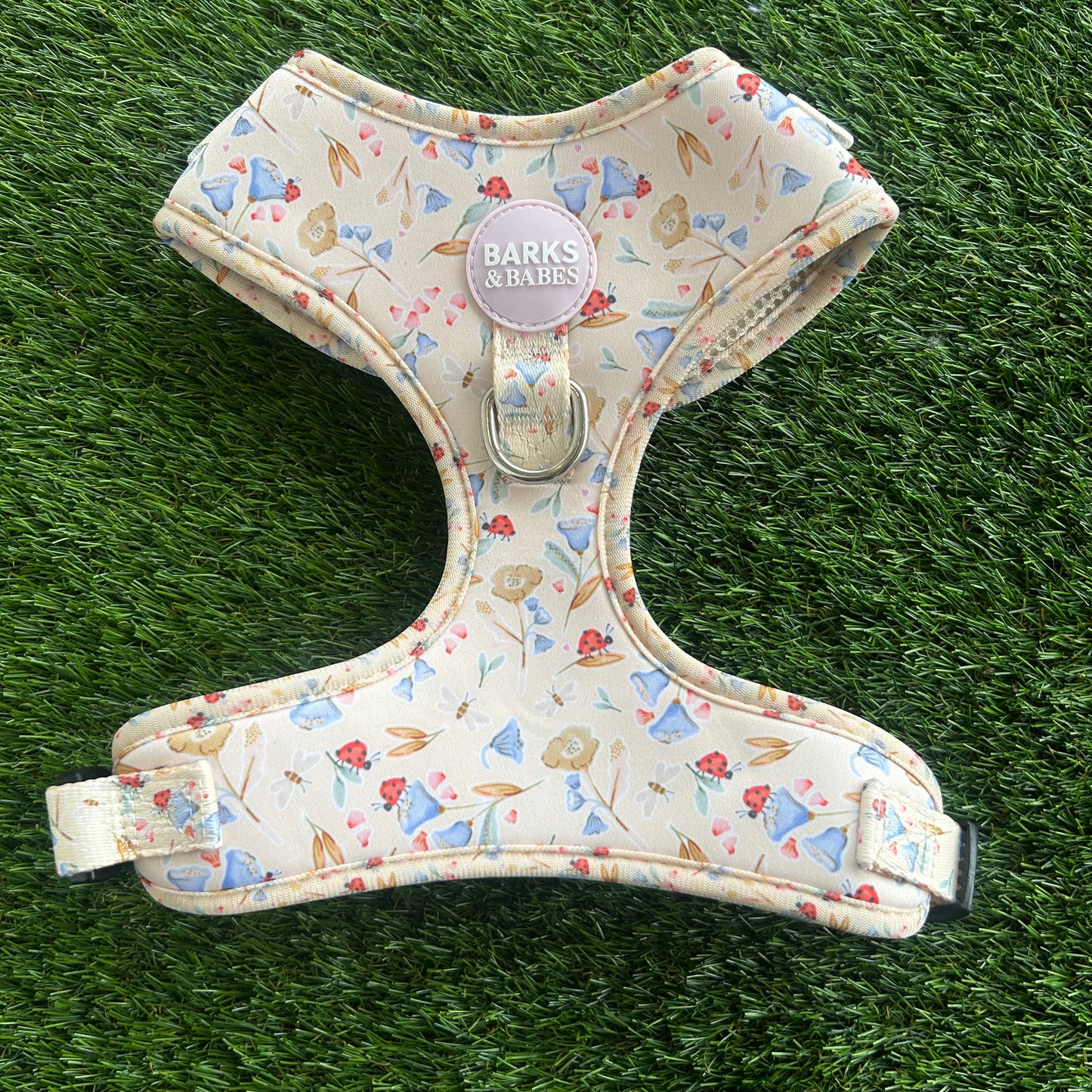 Little Lady Lucy Harness M
