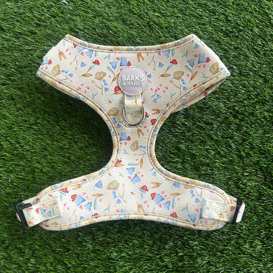 Little Lady Lucy Harness L