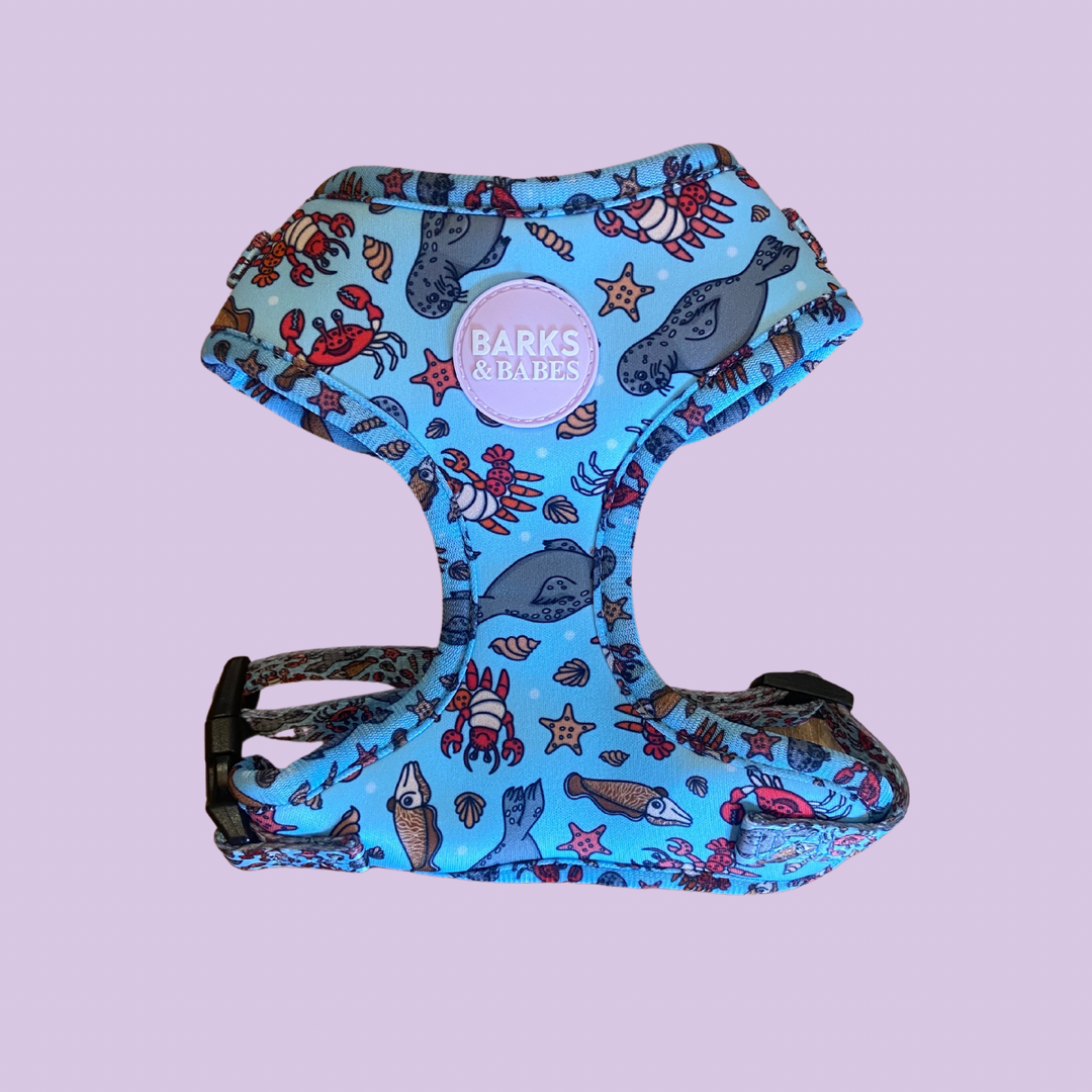 Under the Sea Dog Harness