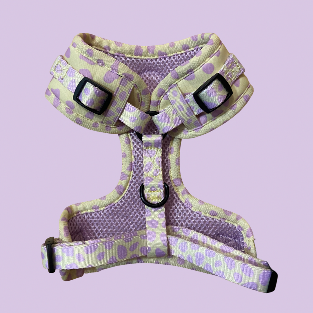 Yellow Dalmatian Print Dog Harness