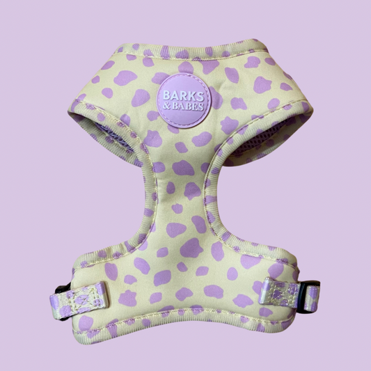 Yellow Dalmatian Print Dog Harness